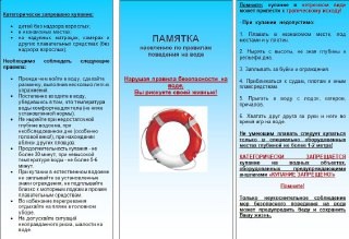 Правила по предупреждению чрезвычайных ситуаций на водных объектах и пляжах в летний период.
