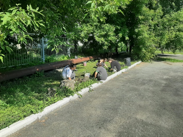 РАБОТА НА ПРИШКОЛЬНОМ УЧАСТКЕ .