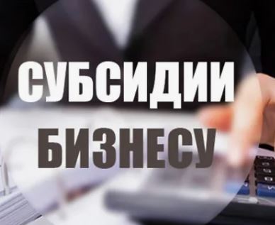 Открыт конкурсный отбор на получение грантов в форме субсидий индивидуальным предпринимателям и юридическим лицам в рамках реализации федеральной программы "Доступная среда".